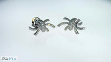 Load image into Gallery viewer, Earrings 18KWGOLD s/w Diamond