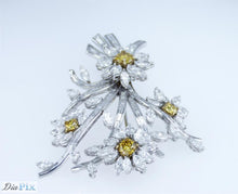 Load image into Gallery viewer, Brooch Pt950 & 18kyellow go